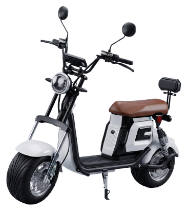 WD6 1.000W BBR Mobility
